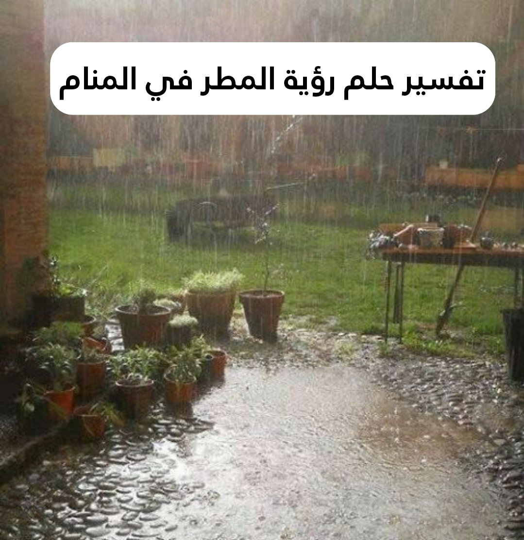تفسير حلم رؤية المطر في المنام