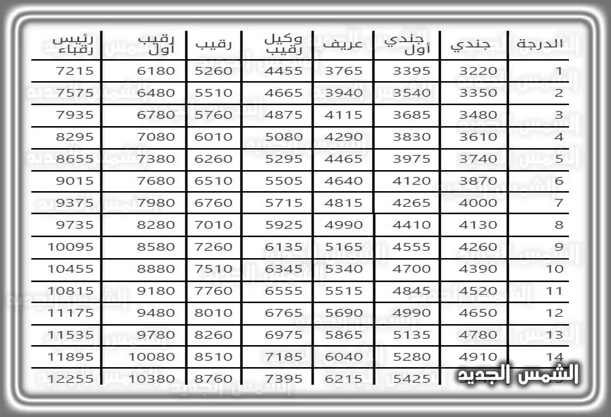 دور النساء في مكافحة المخدرات موظفة في مكافحة المخدرات تعمل على جهاز كمبيوتر في مكتب
