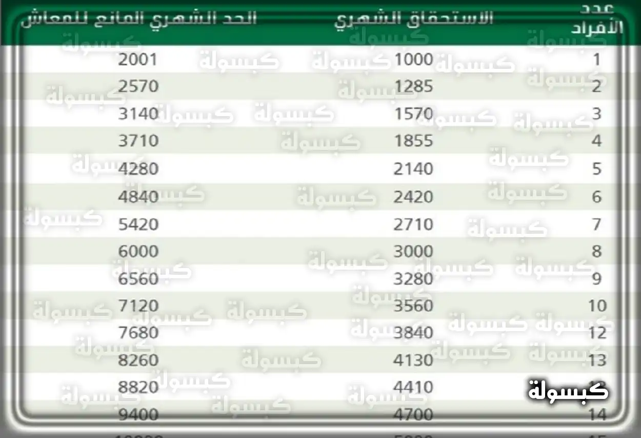 أهداف الضمان الاجتماعي المطور لدعم الأسر السعودية أهداف الضمان الاجتماعي المطور