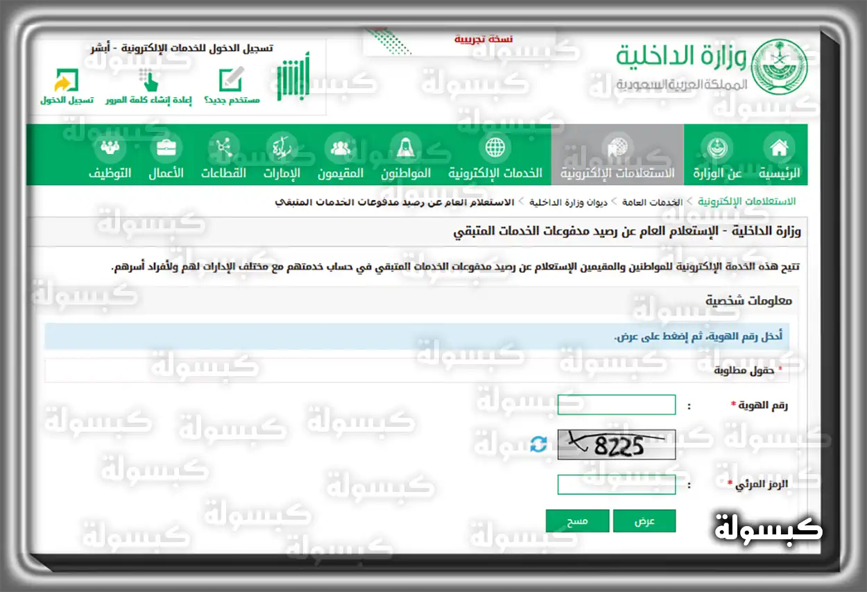 كيفية الاستعلام عن رصيد المدفوعات مكتب العمل في السعودية خطوات الاستعلام عن رصيد المدفوعات عبر موقع وزارة الموارد البشرية
