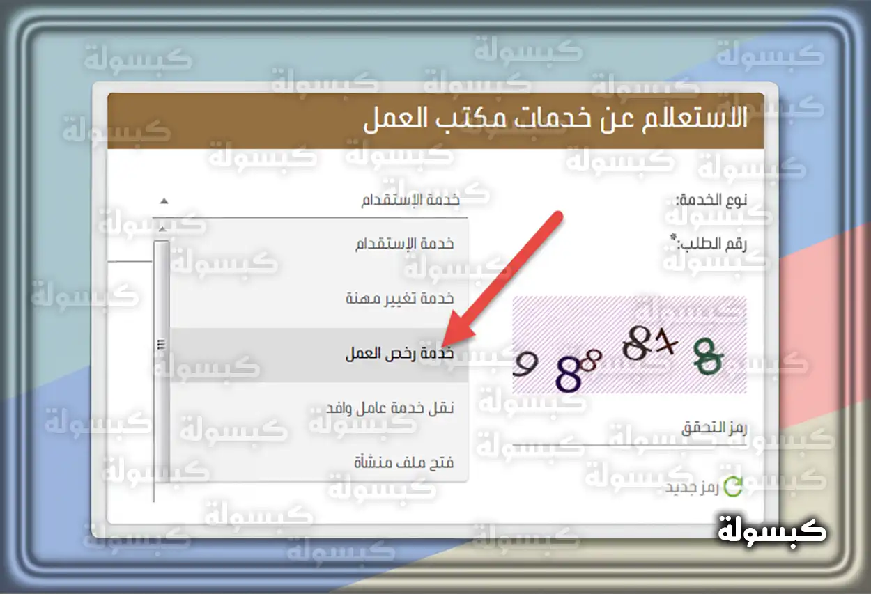 كيفية الاستعلام عن رصيد المدفوعات مكتب العمل في السعودية شرح الاستعلام عن رسوم الإقامة ورخصة العمل