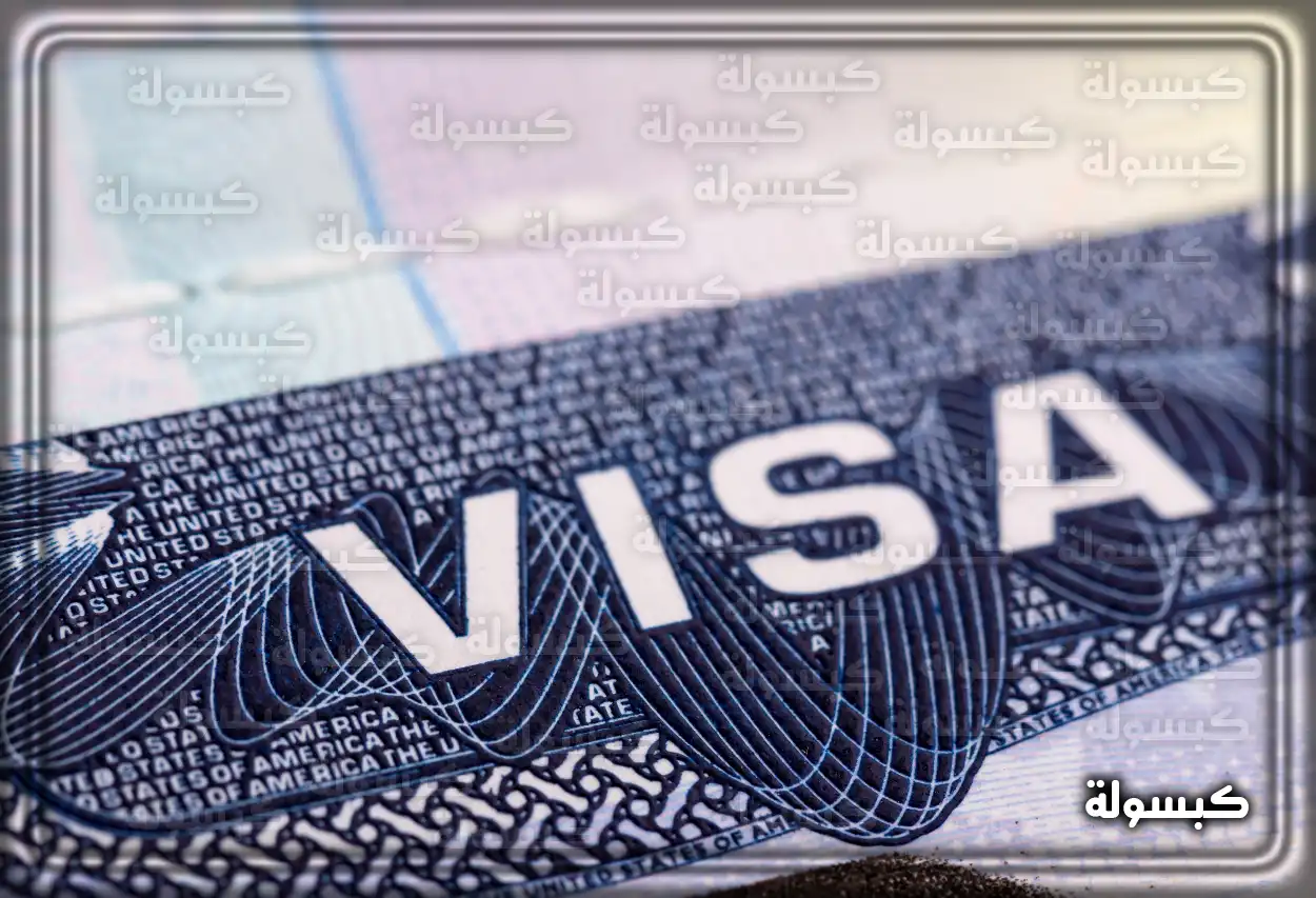 حجز مواعيد شركة تسهيل السعودية زيارة عائلية vfstasheel.com عبر موقع تسهيل خطوات حجز موعد في شركة تسهيل للزيارة العائلية