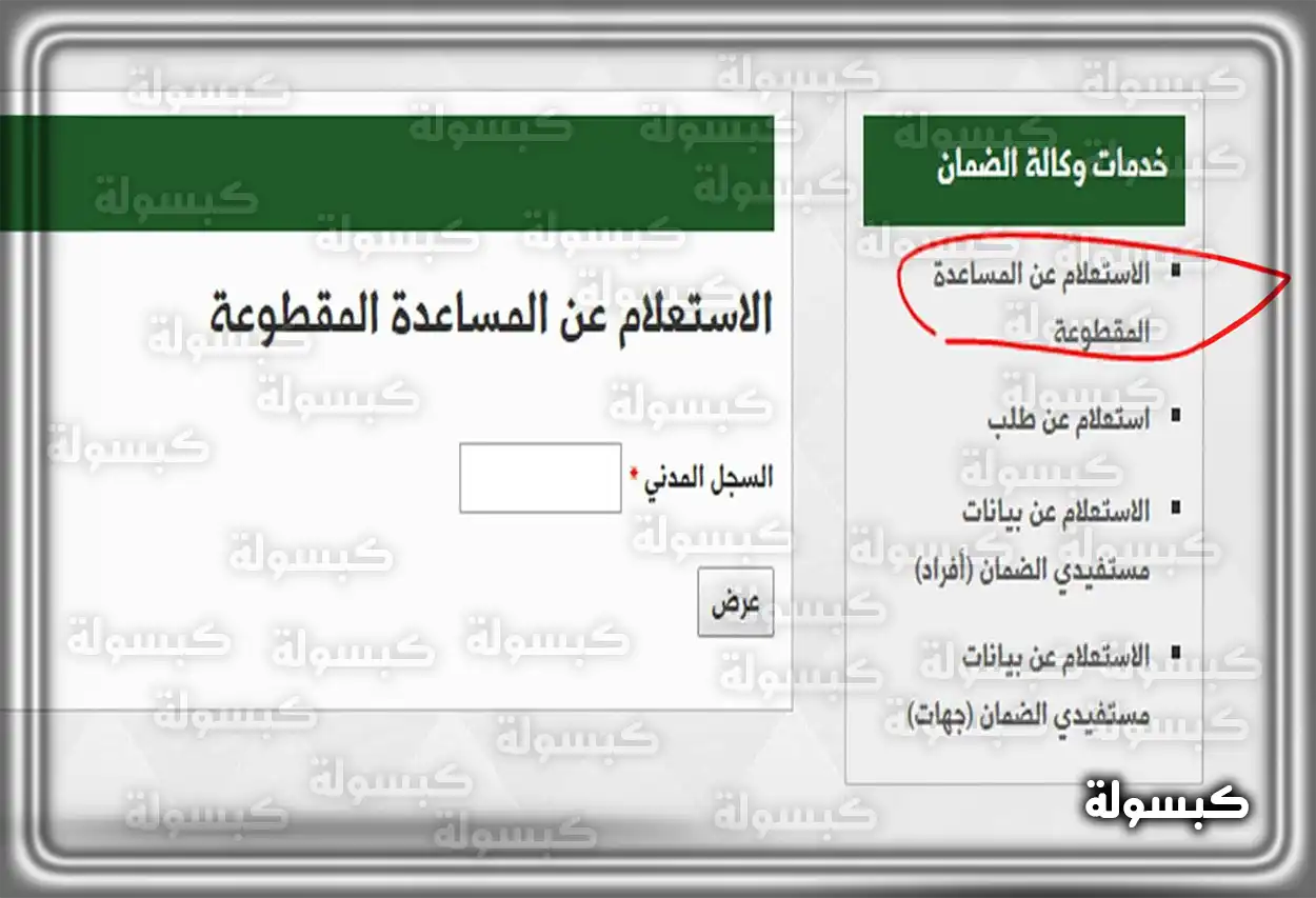 الاستعلام عن المساعدة المقطوعة برقم الطلب عبر موقع وزارة الموارد البشرية شاشة خدمة الاستعلام عن المساعدة المقطوعة في موقع وزارة الموارد البشرية والتنمية الاجتماعية