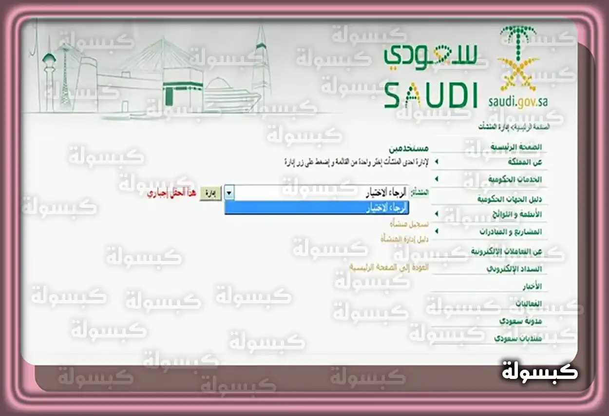 المهن المتاحة للتعديل للوافدين في السعودية أبرز المهن القابلة للتعديل في المملكة