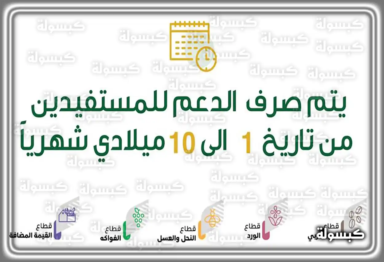 خطوات التسجيل في برنامج دعم ريف شخص يستخدم الحاسوب للتسجيل في منصة دعم ريف