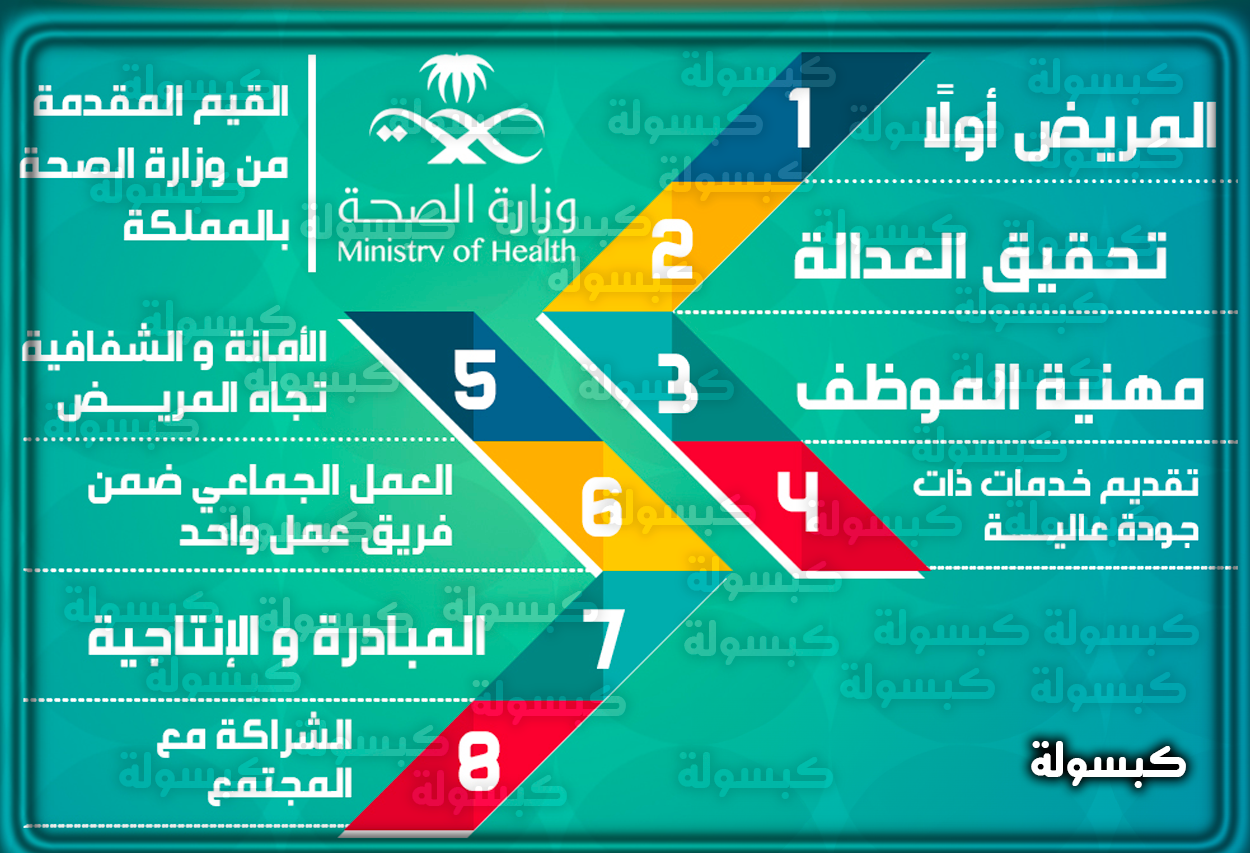 الخدمات الصحيه في بلادنا الحبيبه pdf خدمات وزارة الصحة السعودية 2024 رسم توضيحي يمثل الخدمات الصحية المتنوعة في المملكة العربية السعودية