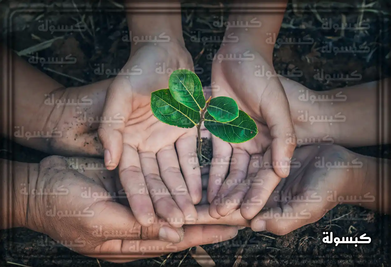 دعم ريف والأنشطة والمنتجات المدعومة داخل السعودية