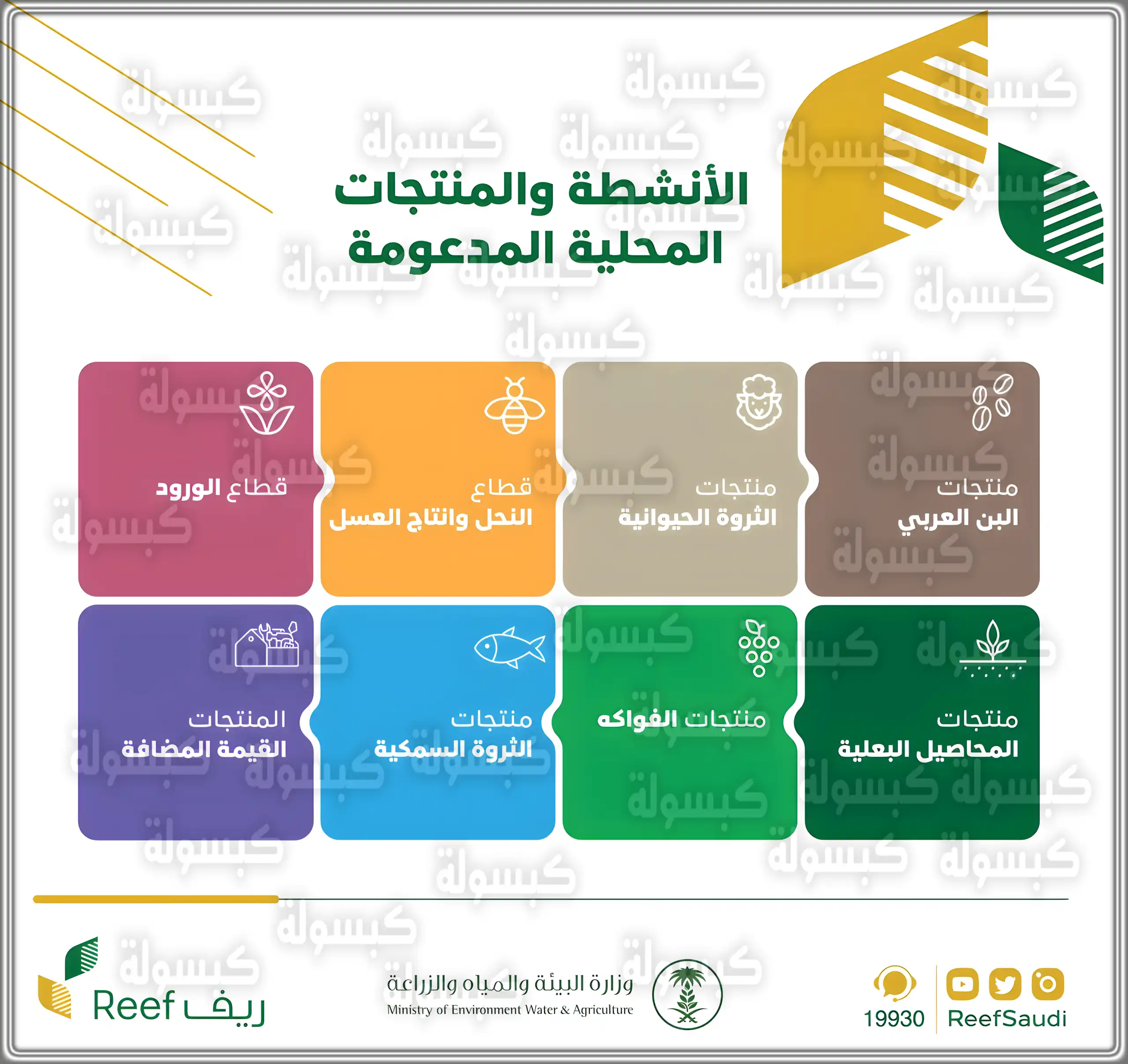 دعم ريف والأنشطة والمنتجات المدعومة داخل السعودية