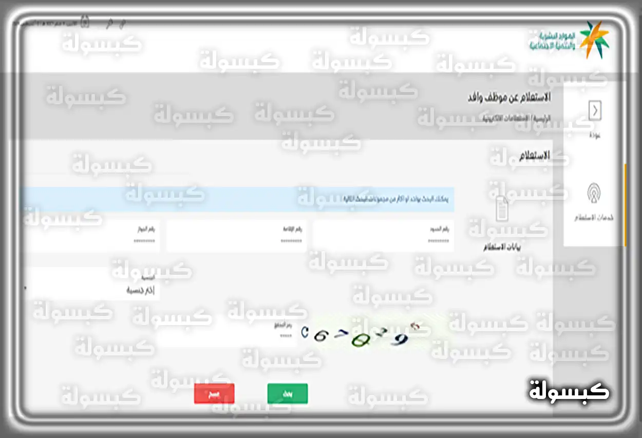 إدخال بيانات الوافد للاستعلام